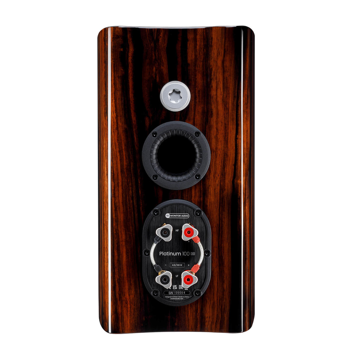 Monitor Audio Platinum 100 3G in Piano Ebony, rear view