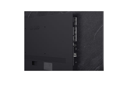 LG OLED evo AI C6 65" 4K Smart TV (OLED65C6PUA), rear view