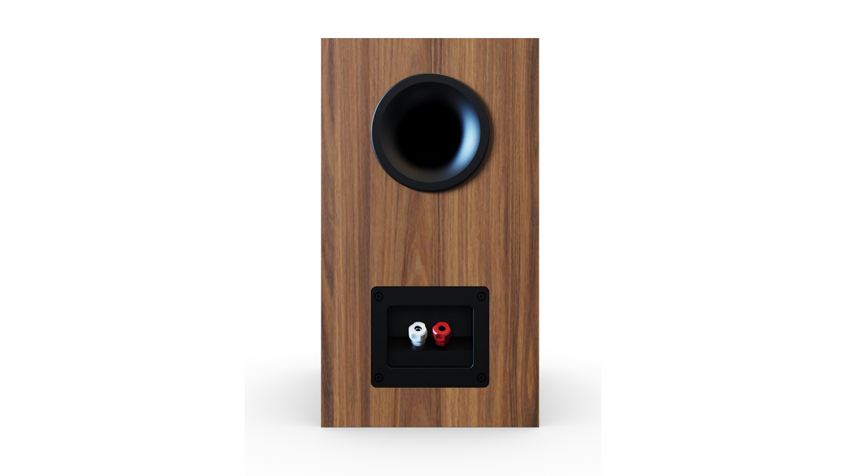 Elac DB53 in Walnut, product view