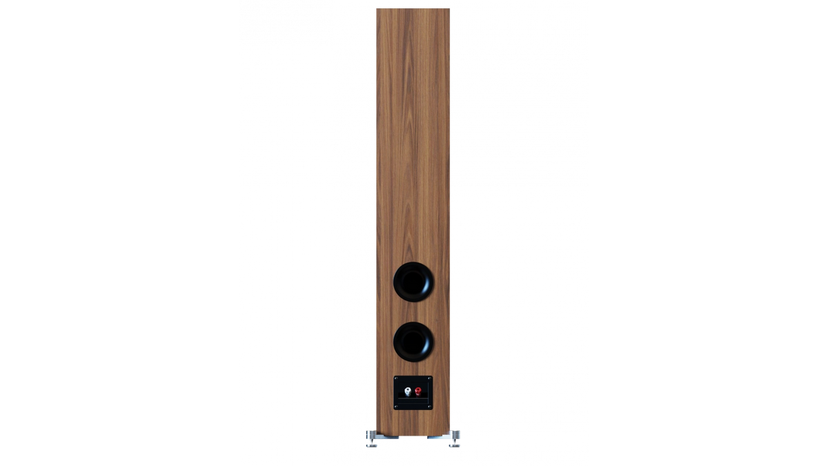 Elac DF53 in Walnut, product view