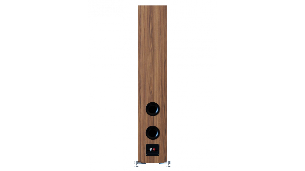 Elac DF63 in Walnut, product view