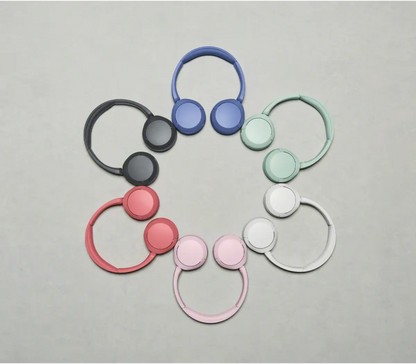 Sony WH-CH530 in Mint, product view 2