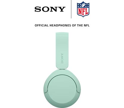 Sony WH-CH530 in Mint, product view 4