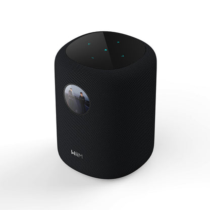 WiiM Sound Smart Speaker