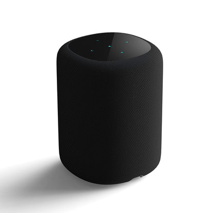 WiiM Sound Smart Speaker